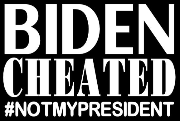 Biden Cheated decal